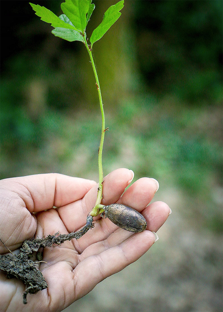 — About Garden Design