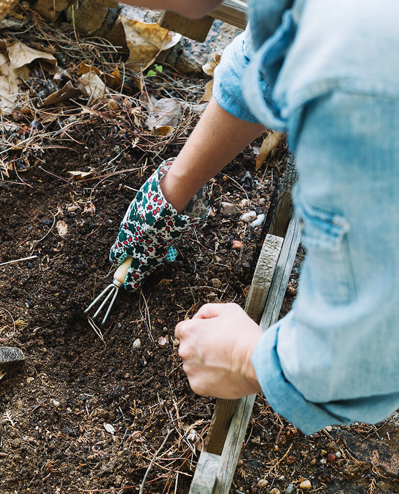 — About Garden Design